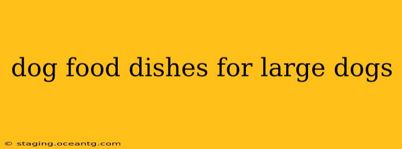 dog food dishes for large dogs