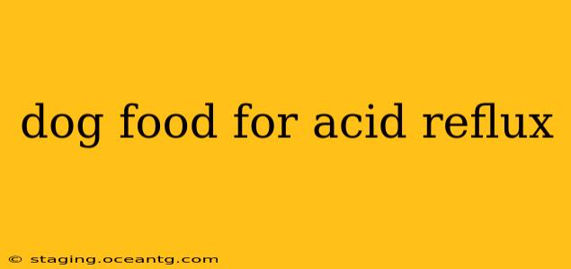 dog food for acid reflux