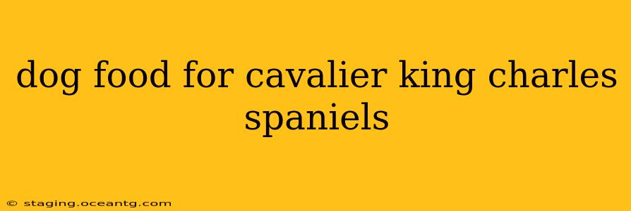 dog food for cavalier king charles spaniels