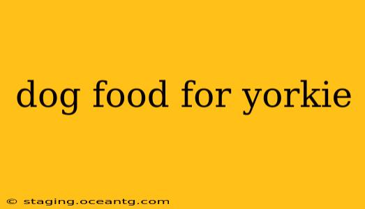 dog food for yorkie