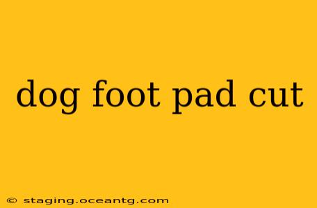 dog foot pad cut