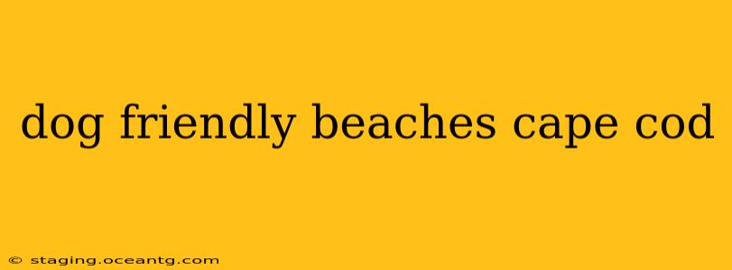 dog friendly beaches cape cod
