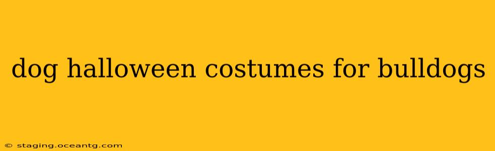 dog halloween costumes for bulldogs