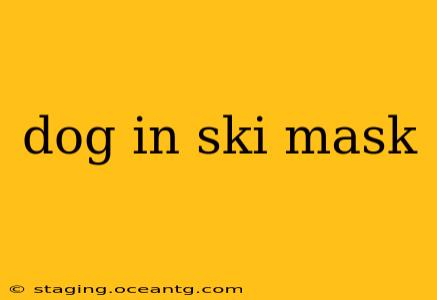 dog in ski mask