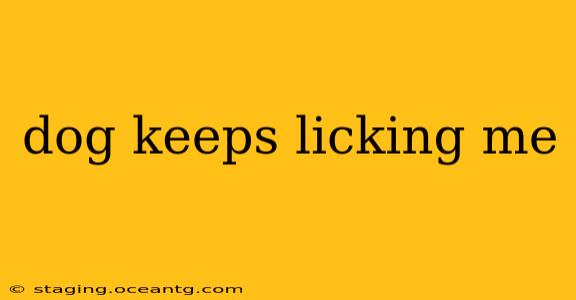 dog keeps licking me