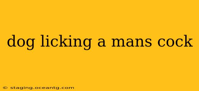 dog licking a mans cock dog licking a mans cock