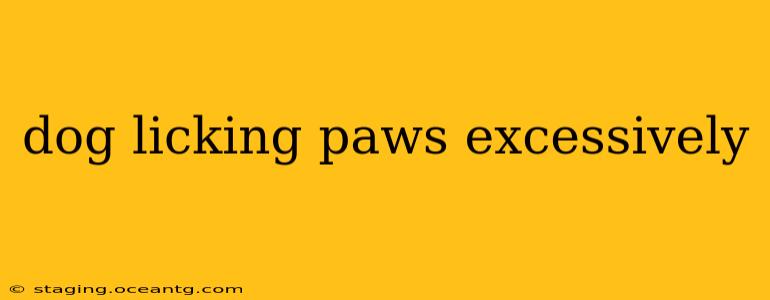 dog licking paws excessively