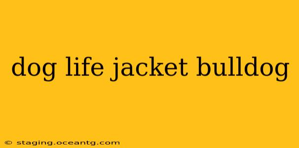 dog life jacket bulldog