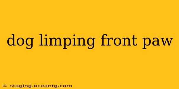 dog limping front paw