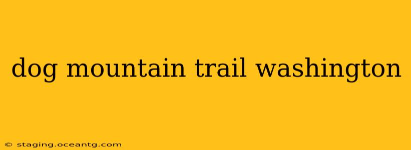 dog mountain trail washington