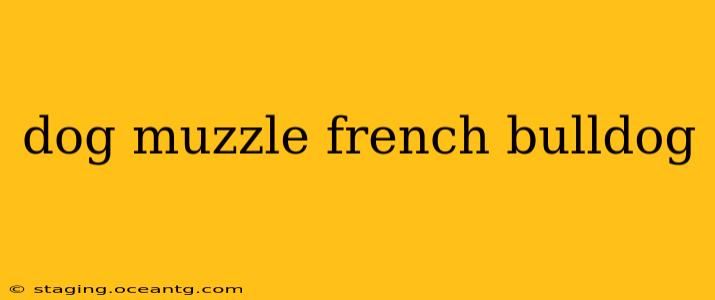 dog muzzle french bulldog