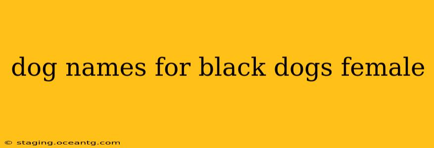 dog names for black dogs female