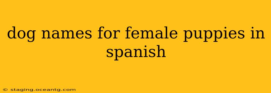 dog names for female puppies in spanish