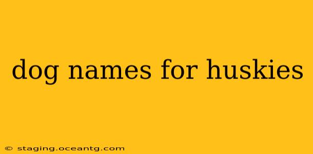 dog names for huskies