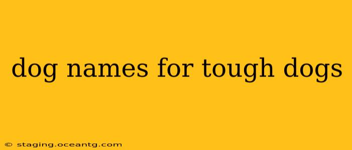 dog names for tough dogs