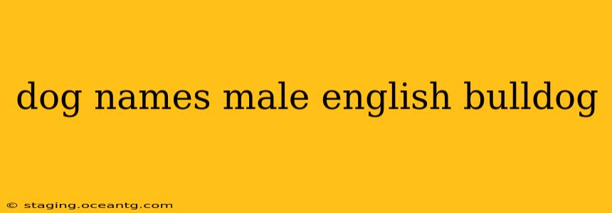 dog names male english bulldog