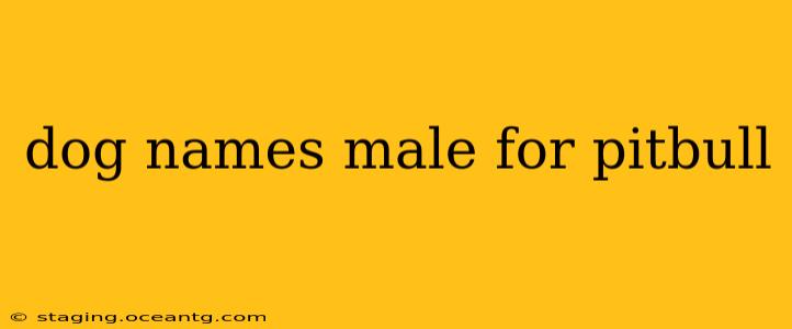 dog names male for pitbull