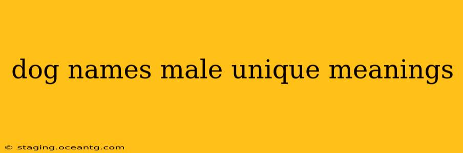 dog names male unique meanings