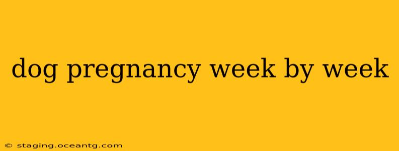 dog pregnancy week by week