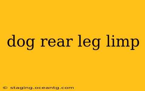 dog rear leg limp