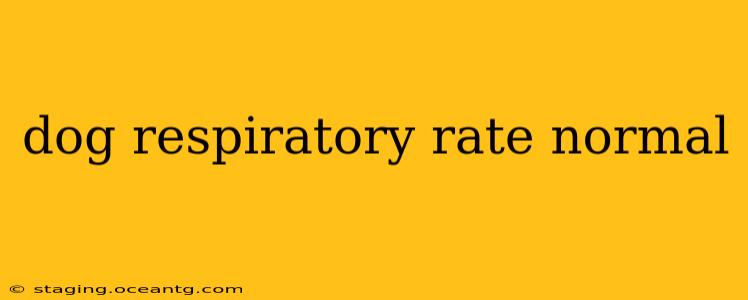 dog respiratory rate normal