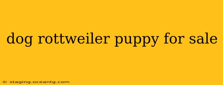dog rottweiler puppy for sale