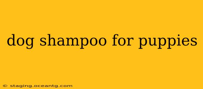 dog shampoo for puppies