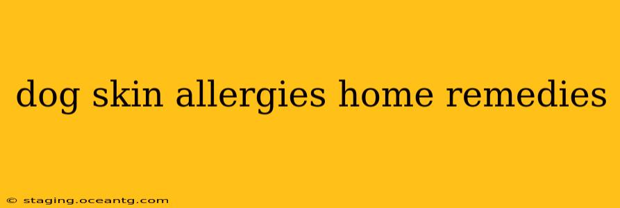 dog skin allergies home remedies