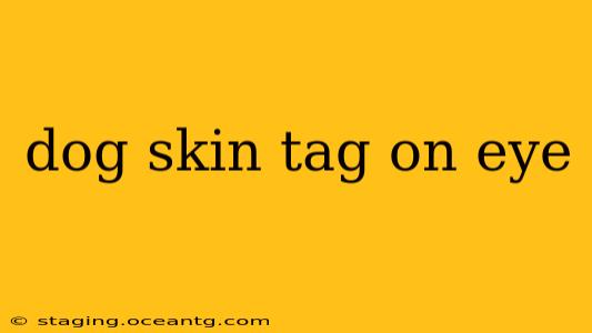 dog skin tag on eye