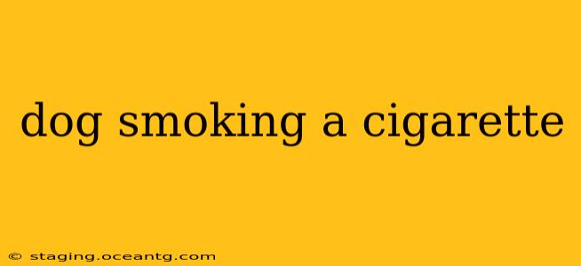 dog smoking a cigarette