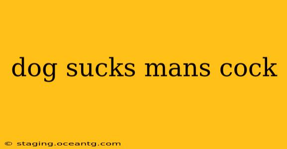 dog sucks mans cock