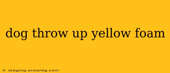 dog throw up yellow foam