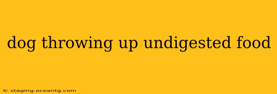 dog throwing up undigested food