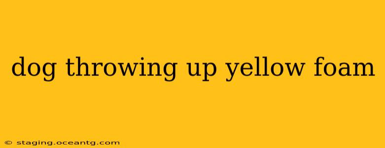 dog throwing up yellow foam