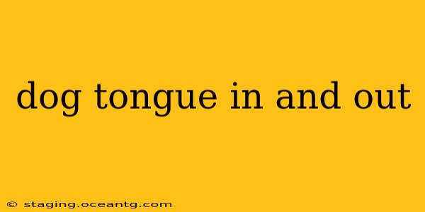 dog tongue in and out