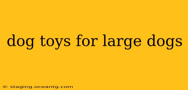 dog toys for large dogs