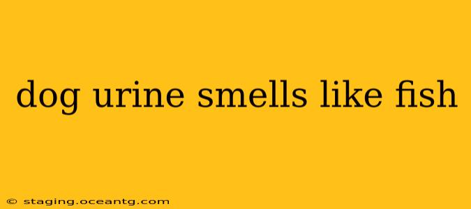 dog urine smells like fish