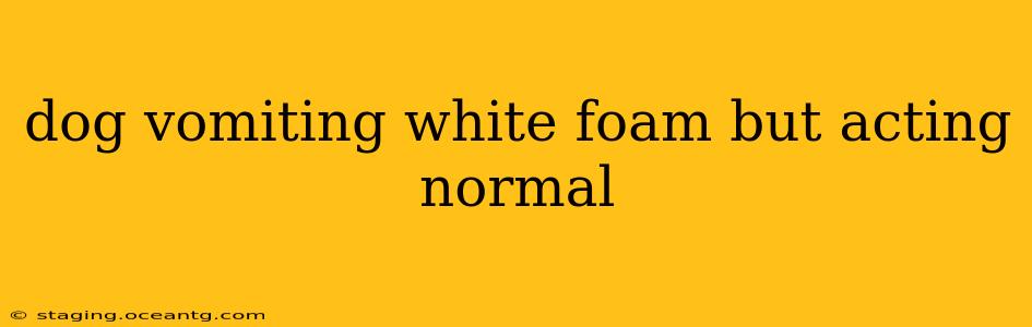 dog vomiting white foam but acting normal