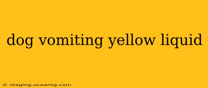 dog vomiting yellow liquid