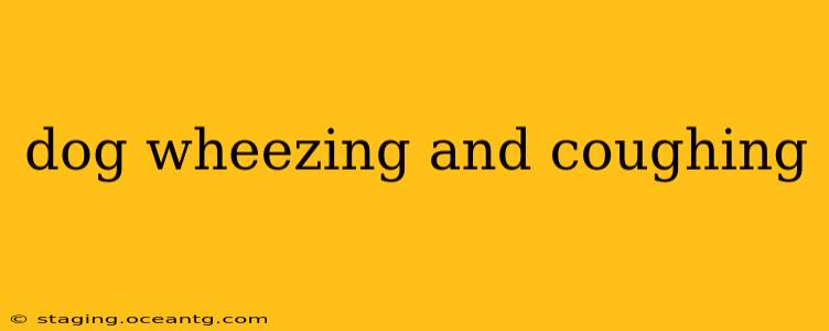 dog wheezing and coughing