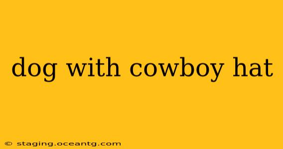 dog with cowboy hat