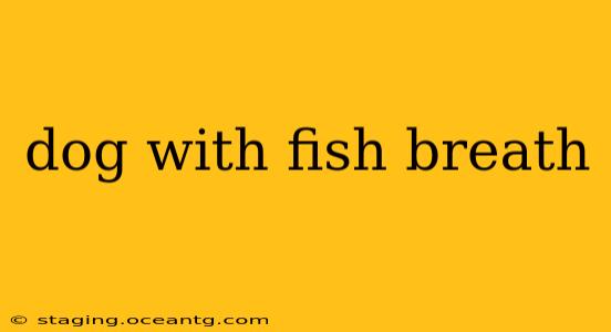 dog with fish breath