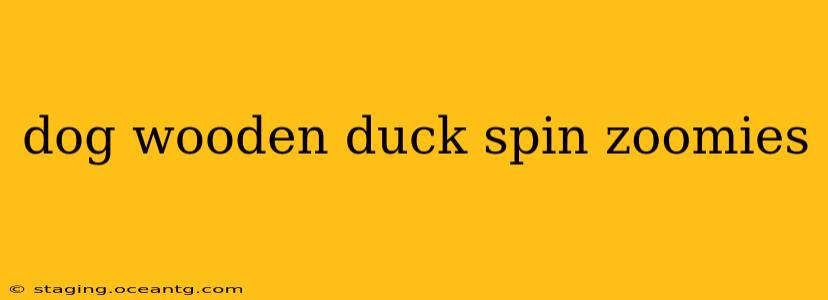 dog wooden duck spin zoomies