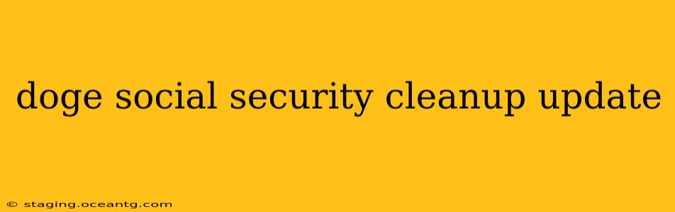 doge social security cleanup update