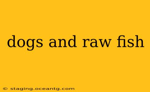 dogs and raw fish