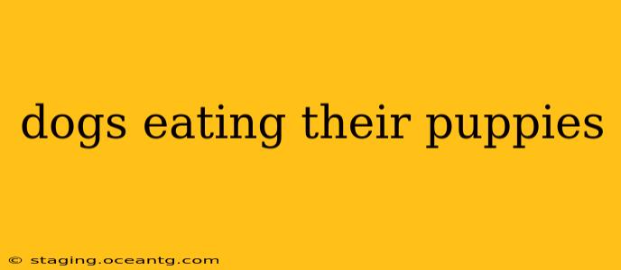 dogs eating their puppies