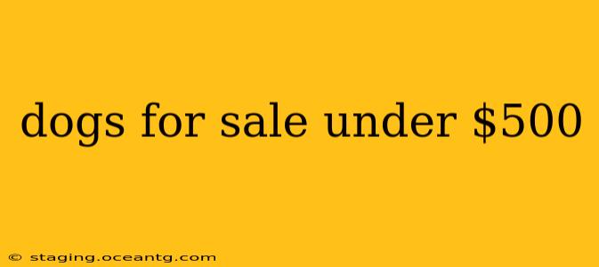 dogs for sale under $500