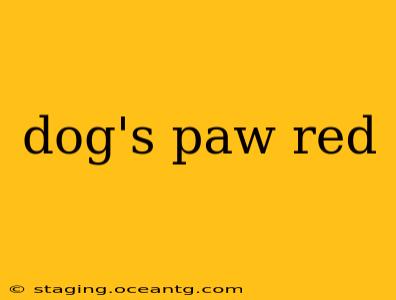 dog's paw red