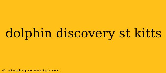 dolphin discovery st kitts