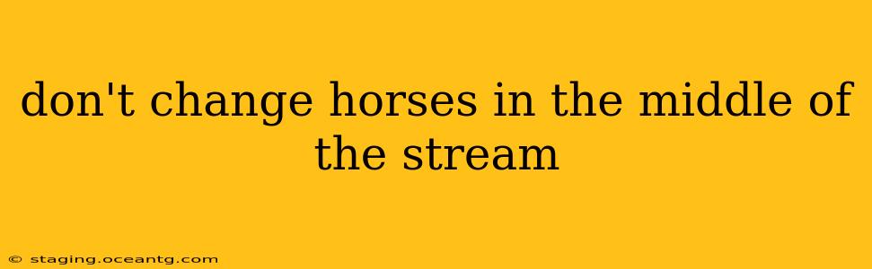 don't change horses in the middle of the stream